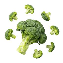 Broccoli