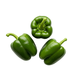 Capsicum