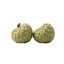 Custard Apple
