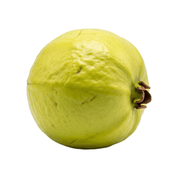 Guava