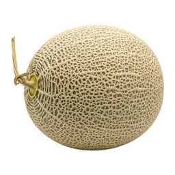 Muskmelon