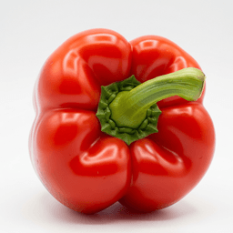 Red Capsicum