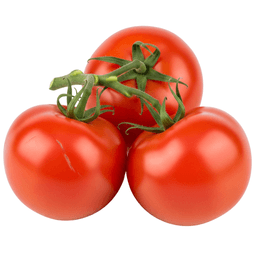 Tomato