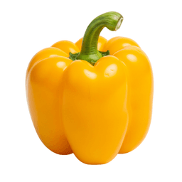 Yellow Capsicum